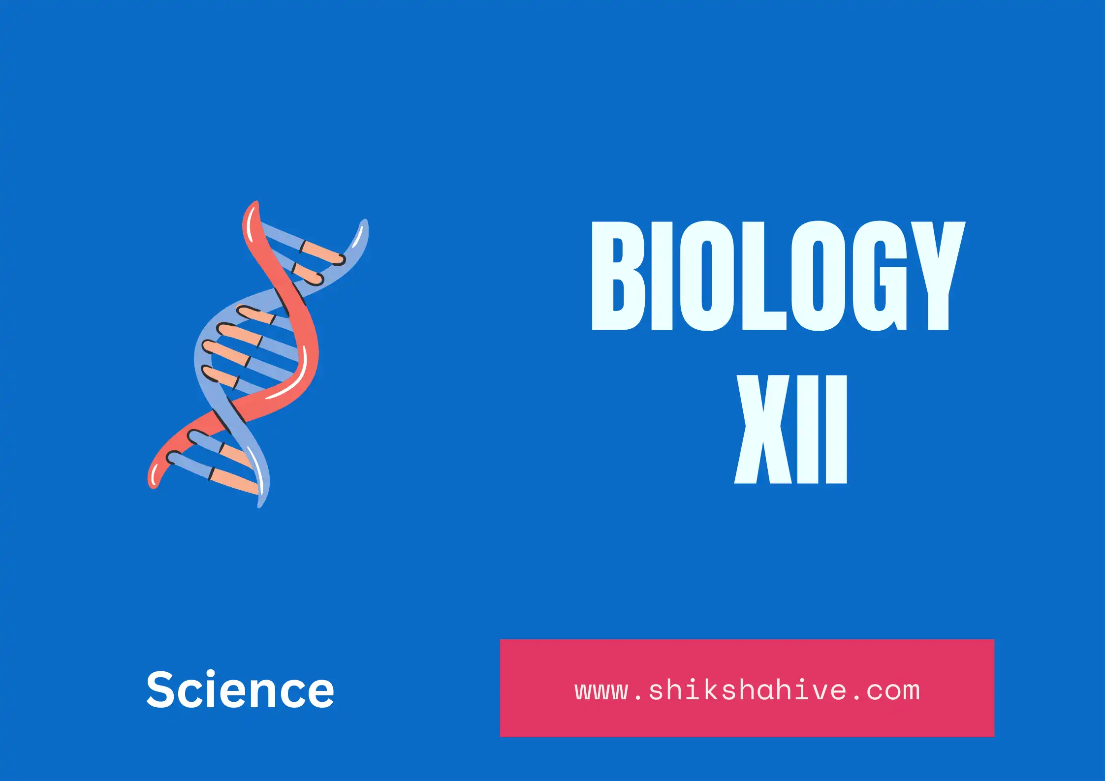 Biology NEB Questions - 12 science